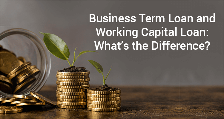 Term Loan Vs Working Capital Loan: Key Differences for Business Owners