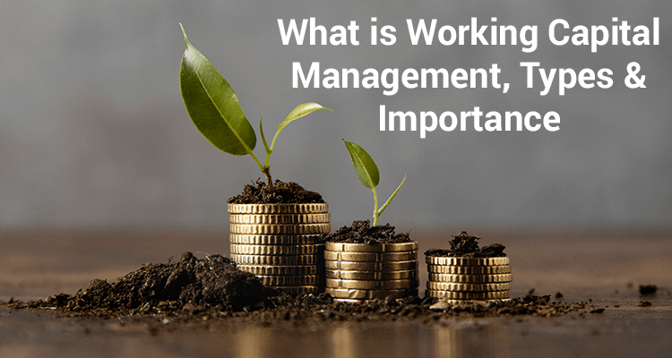 Working Capital Management: Definition, Types, and Importance